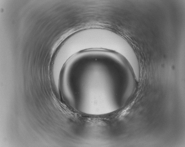 X0000055510244200508191527