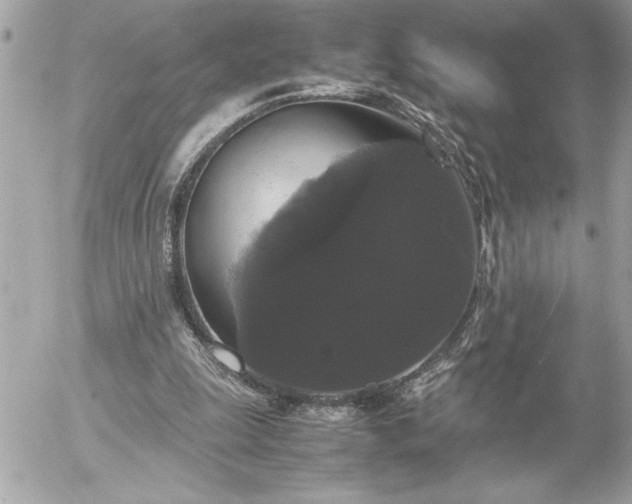 X0000055510247200508191527