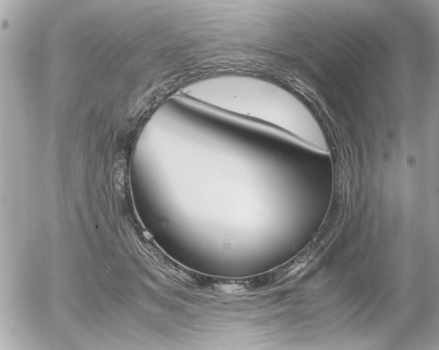 X0000055510509200508191523