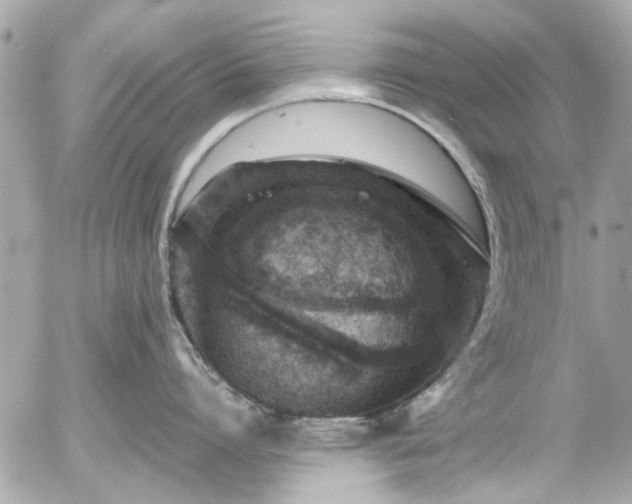 X0000055510864200508191518