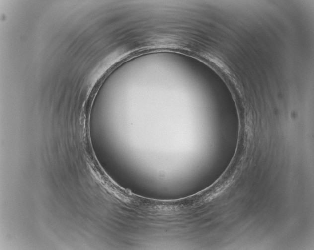 X0000055510933200508191516