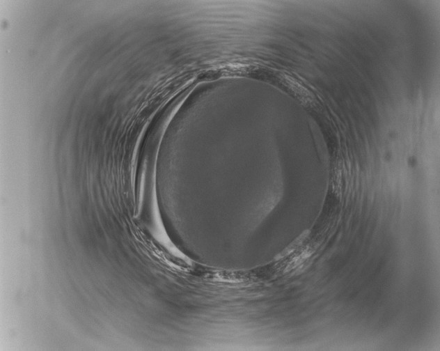 X0000055511010200508191514