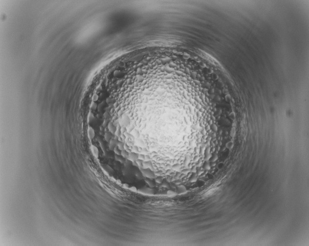 X0000055511027200508191515
