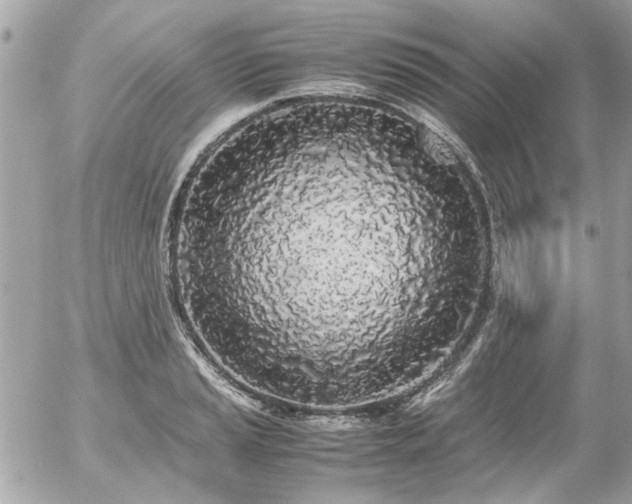 X0000055511037200508191515