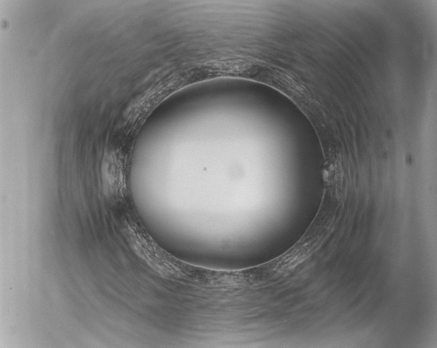 X0000055511058200508191514