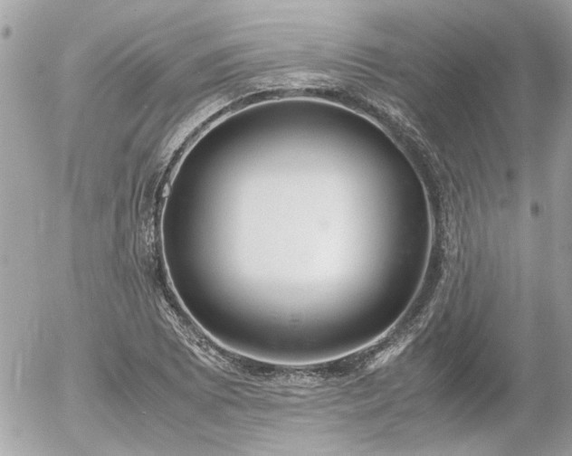 X0000055511073200508191514