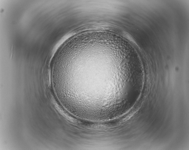 X0000055511079200508191514