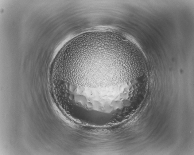 X0000055511091200508191514