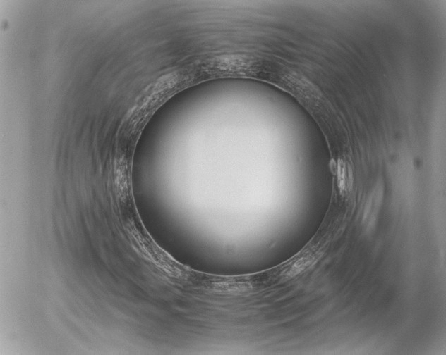 X0000055511107200508191513