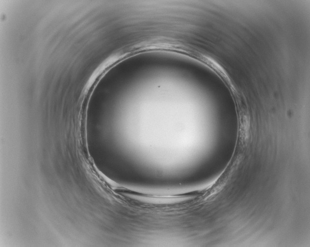 X0000055511146200508191514