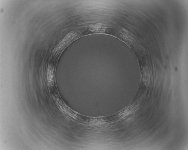 X0000055511154200508191513