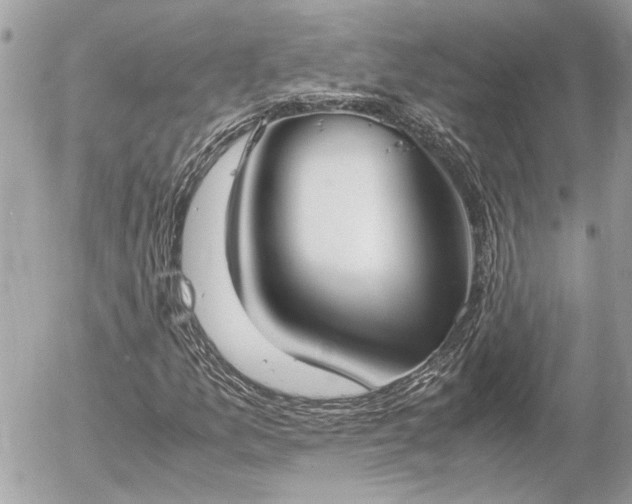 X0000055511157200508191513