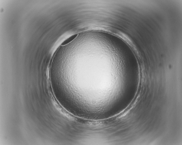 X0000055511198200508191512
