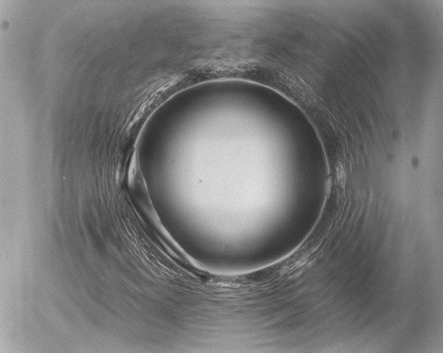X0000055511300200508191510