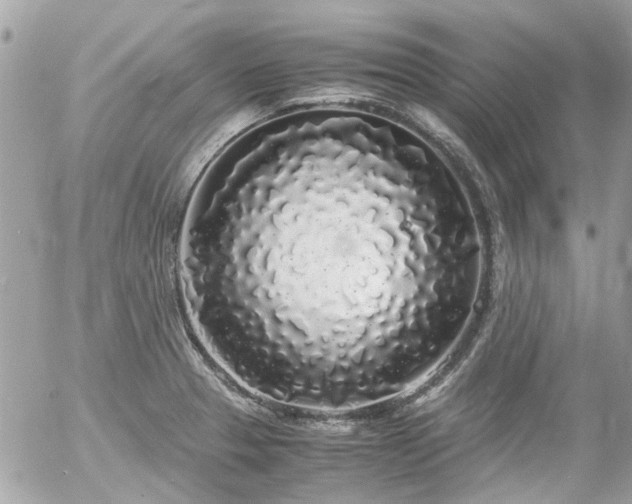 X0000055511329200508191510