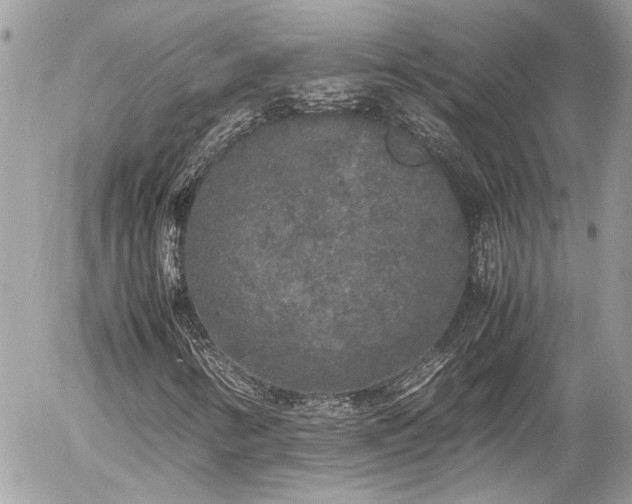 X0000055511346200508191510