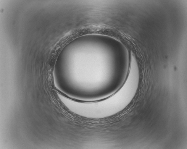 X0000055511349200508191510