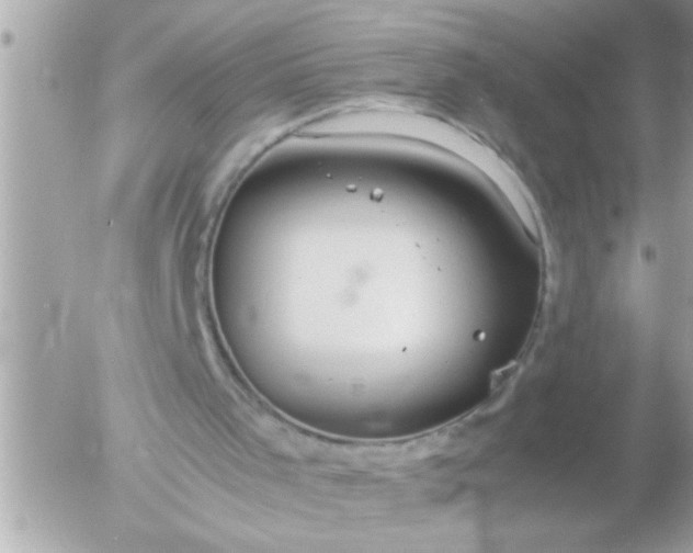 X0000055510001200508262152