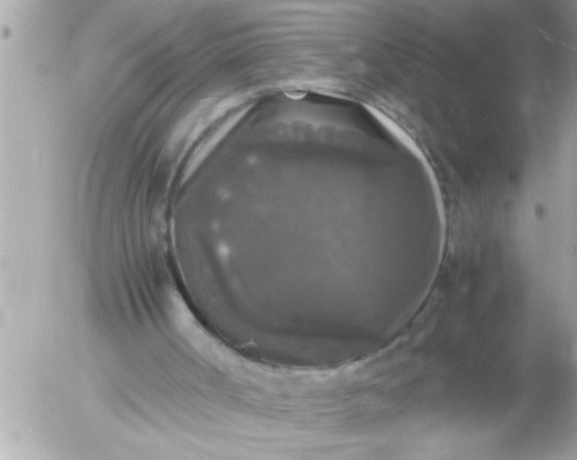 X0000055510002200508262152