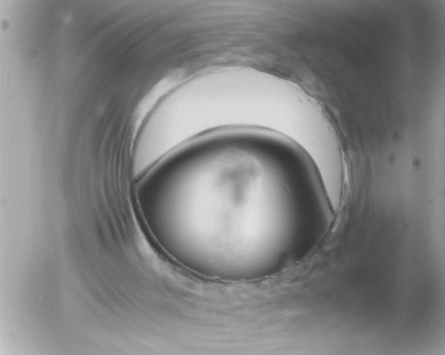 X0000055510003200508262152