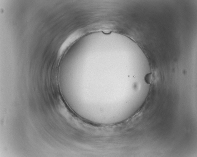 X0000055510004200508262152