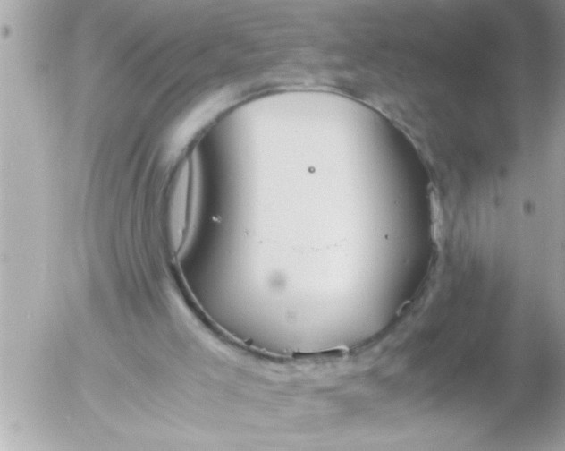 X0000055510005200508262152