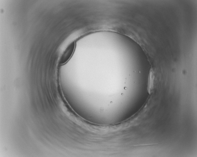 X0000055510006200508262152