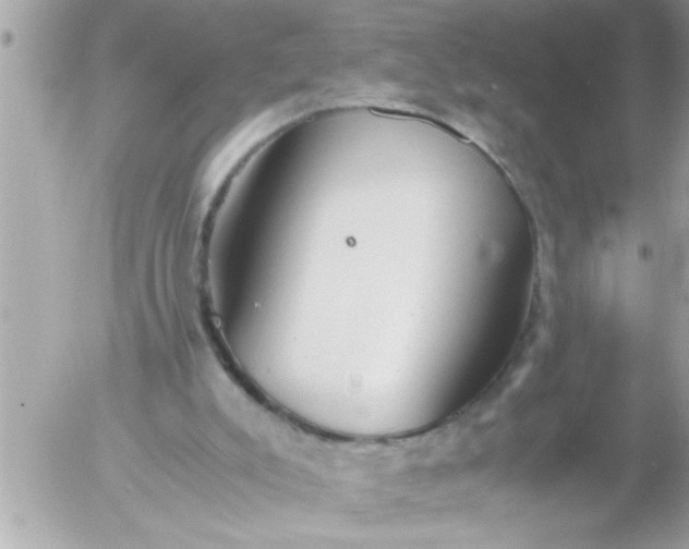 X0000055510007200508262152