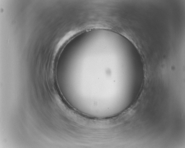 X0000055510008200508262152