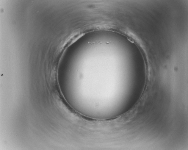 X0000055510009200508262152