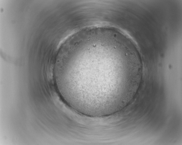 X0000055510010200508262152