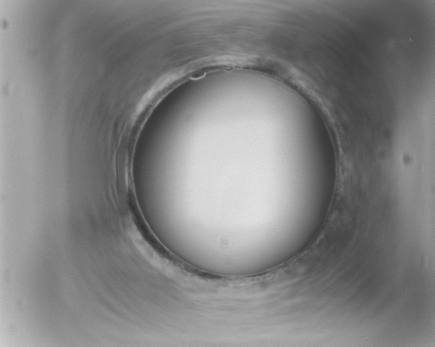 X0000055510011200508262152