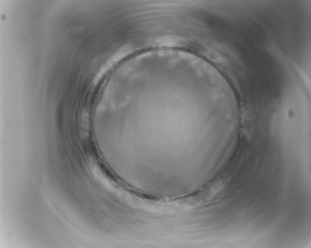 X0000055510012200508262152