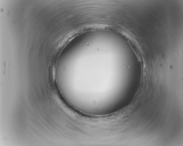 X0000055510013200508262152