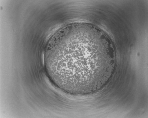 X0000055510014200508262152