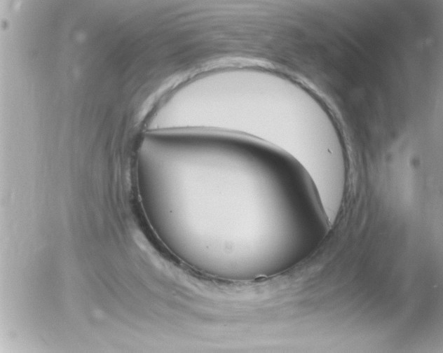 X0000055510015200508262152