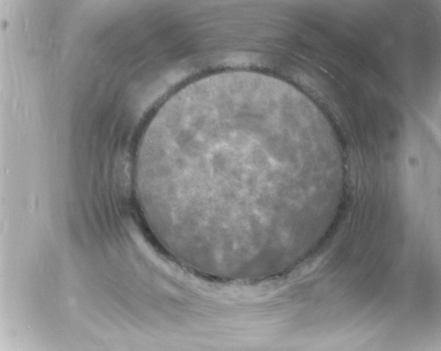 X0000055510016200508262152