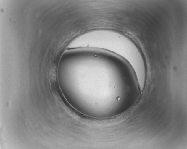 X0000055510017200508262152