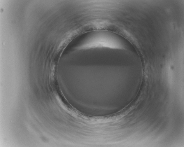 X0000055510018200508262152