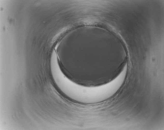 X0000055510019200508262152