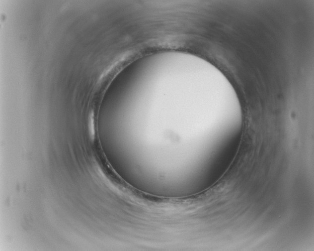 X0000055510020200508262152