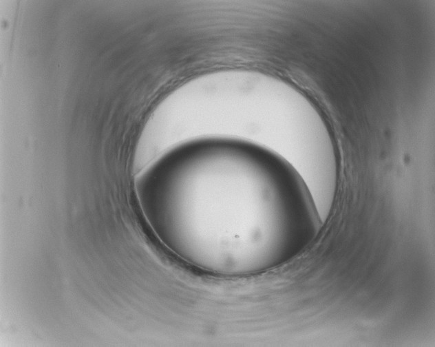 X0000055510021200508262152