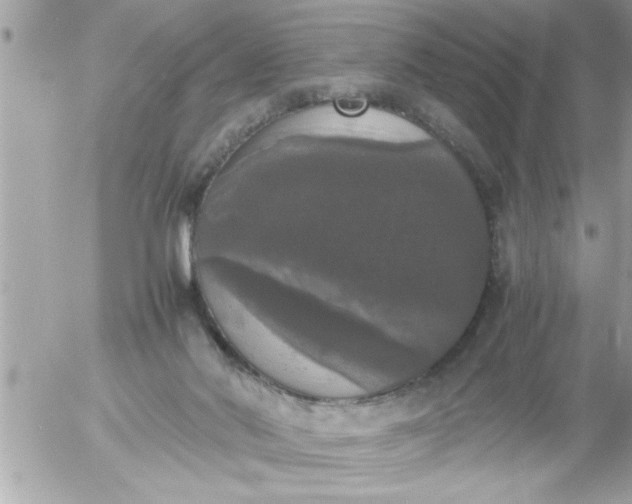 X0000055510022200508262152