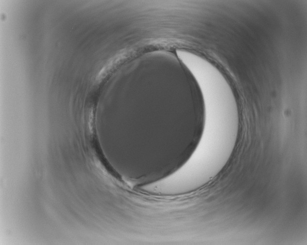 X0000055510023200508262152