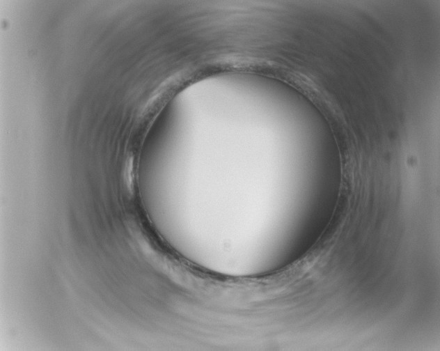 X0000055510024200508262152