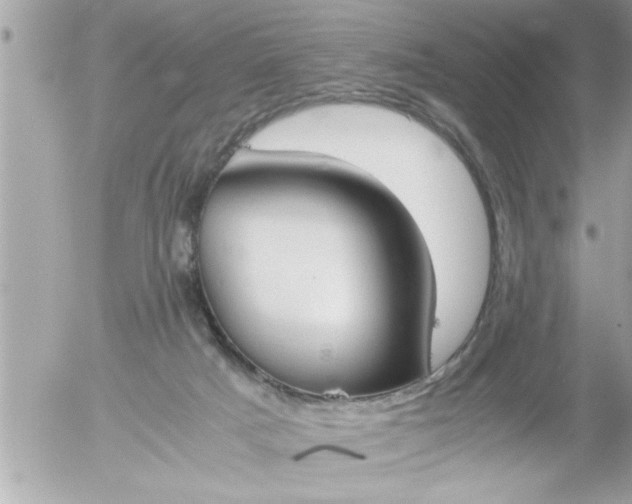 X0000055510025200508262152