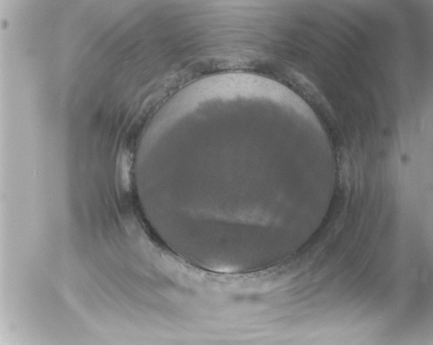 X0000055510026200508262152