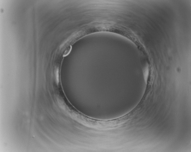 X0000055510027200508262152