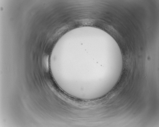 X0000055510028200508262151