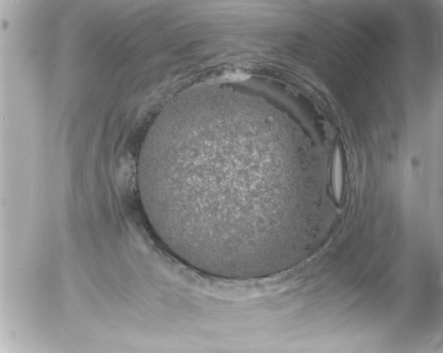 X0000055510029200508262151